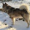 scout 12-2010 6